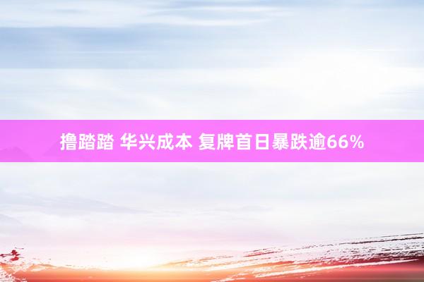 撸踏踏 华兴成本 复牌首日暴跌逾66%