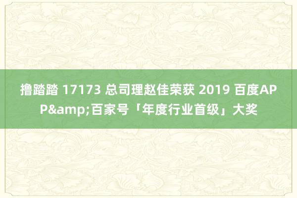 撸踏踏 17173 总司理赵佳荣获 2019 百度APP&百家号「年度行业首级」大奖
