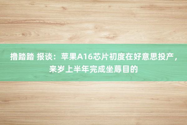 撸踏踏 报谈：苹果A16芯片初度在好意思投产，来岁上半年完成坐蓐目的