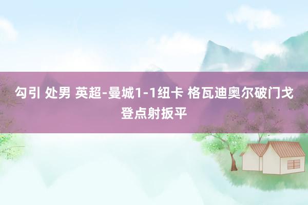 勾引 处男 英超-曼城1-1纽卡 格瓦迪奥尔破门戈登点射扳平