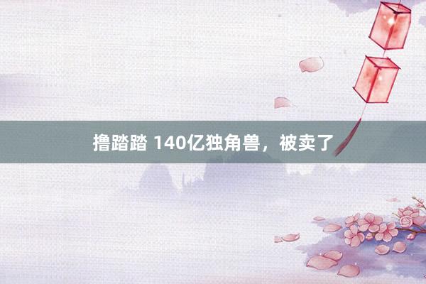 撸踏踏 140亿独角兽,被卖了