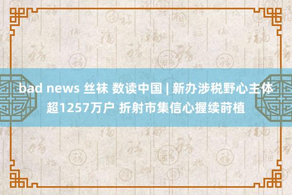 bad news 丝袜 数读中国 | 新办涉税野心主体超1257万户 折射市集信心握续莳植