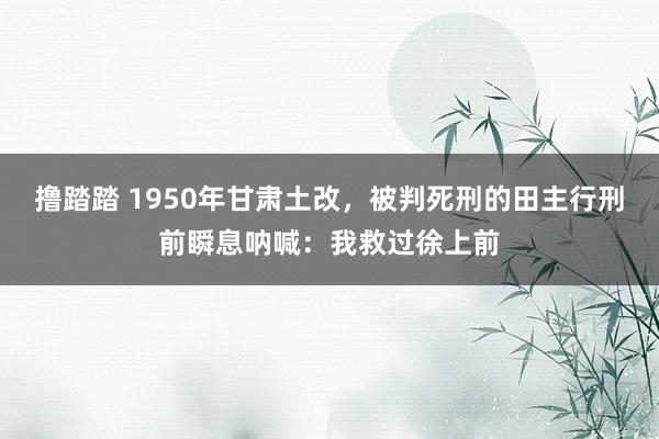 撸踏踏 1950年甘肃土改，被判死刑的田主行刑前瞬息呐喊：我救过徐上前