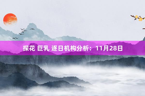 探花 巨乳 逐日机构分析：11月28日