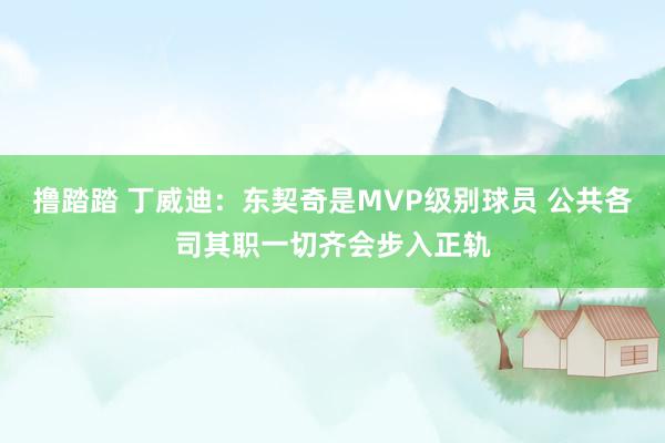 撸踏踏 丁威迪：东契奇是MVP级别球员 公共各司其职一切齐会步入正轨