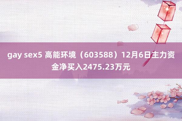 gay sex5 高能环境（603588）12月6日主力资金净买入2475.23万元