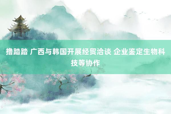 撸踏踏 广西与韩国开展经贸洽谈 企业鉴定生物科技等协作