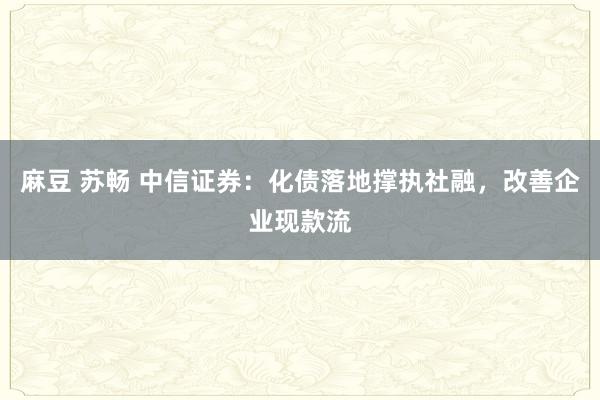 麻豆 苏畅 中信证券：化债落地撑执社融，改善企业现款流
