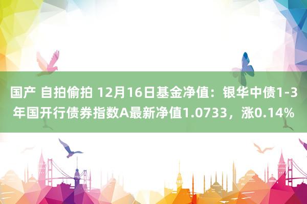 国产 自拍偷拍 12月16日基金净值：银华中债1-3年国开行债券指数A最新净值1.0733，涨0.14%