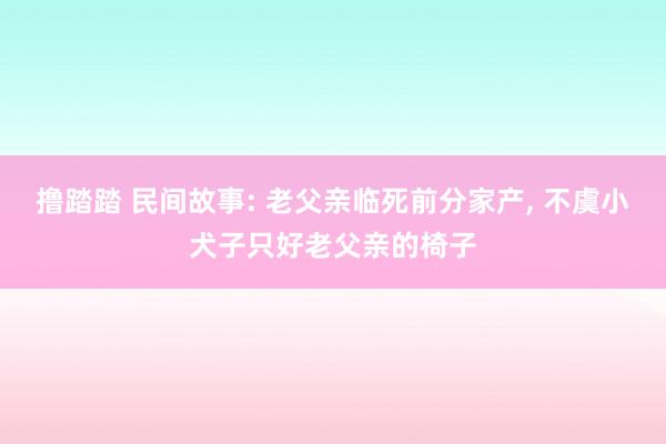 撸踏踏 民间故事: 老父亲临死前分家产， 不虞小犬子只好老父亲的椅子