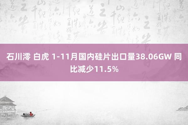 石川澪 白虎 1-11月国内硅片出口量38.06GW 同比减少11.5%