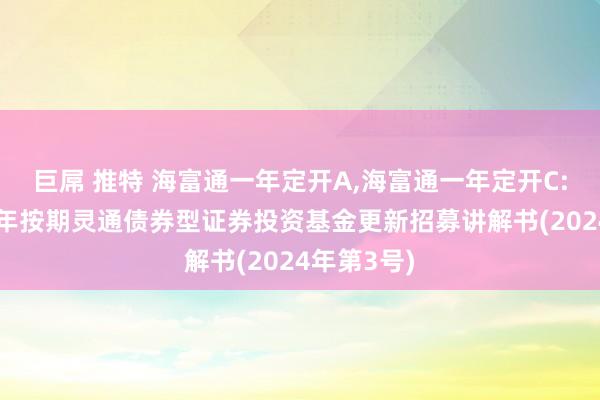 巨屌 推特 海富通一年定开A,海富通一年定开C: 海富通一年按期灵通债券型证券投资基金更新招募讲解书(2024年第3号)