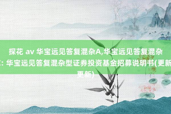 探花 av 华宝远见答复混杂A,华宝远见答复混杂C: 华宝远见答复混杂型证券投资基金招募说明书(更新)