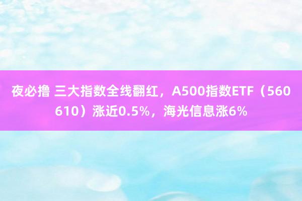 夜必撸 三大指数全线翻红，A500指数ETF（560610）涨近0.5%，海光信息涨6%