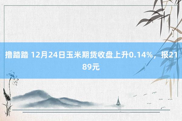 撸踏踏 12月24日玉米期货收盘上升0.14%，报2189元
