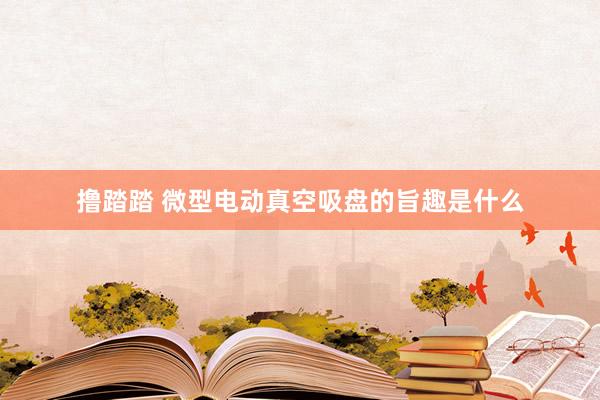 撸踏踏 微型电动真空吸盘的旨趣是什么