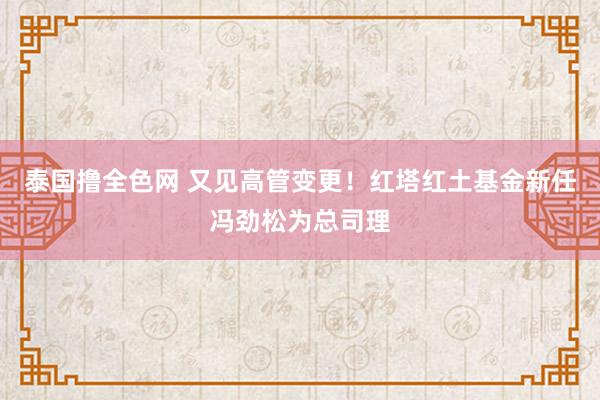 泰国撸全色网 又见高管变更！红塔红土基金新任冯劲松为总司理
