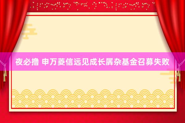 夜必撸 申万菱信远见成长羼杂基金召募失败