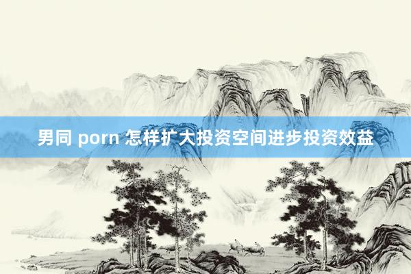 男同 porn 怎样扩大投资空间进步投资效益