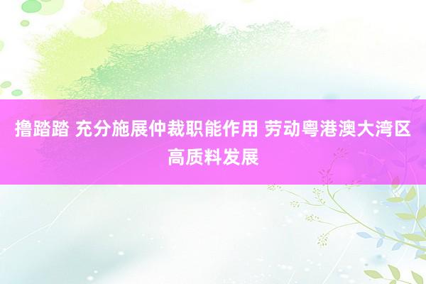 撸踏踏 充分施展仲裁职能作用 劳动粤港澳大湾区高质料发展