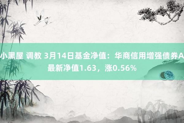 小黑屋 调教 3月14日基金净值：华商信用增强债券A最新净值1.63，涨0.56%