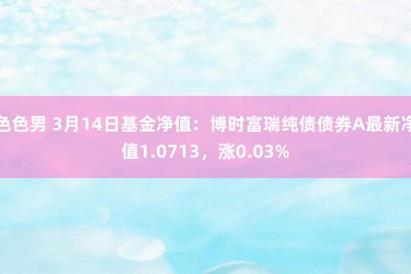 色色男 3月14日基金净值：博时富瑞纯债债券A最新净值1.0713，涨0.03%