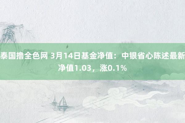 泰国撸全色网 3月14日基金净值：中银省心陈述最新净值1.03，涨0.1%