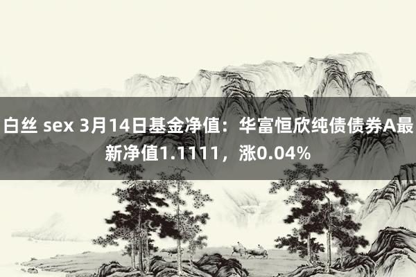 白丝 sex 3月14日基金净值：华富恒欣纯债债券A最新净值1.1111，涨0.04%