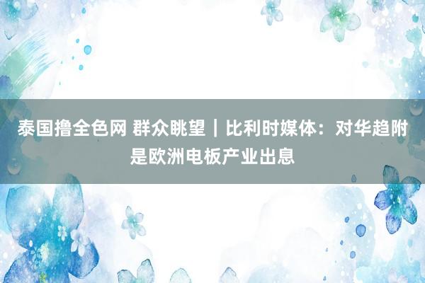 泰国撸全色网 群众眺望｜比利时媒体：对华趋附是欧洲电板产业出息