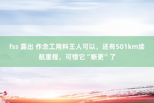 fss 露出 作念工用料王人可以，还有501km续航里程，可惜它“断更”了