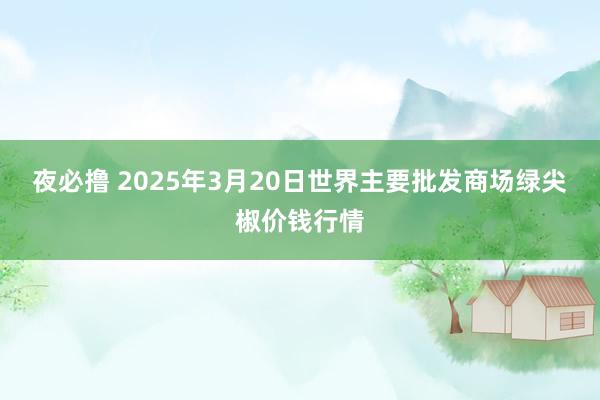 夜必撸 2025年3月20日世界主要批发商场绿尖椒价钱行情