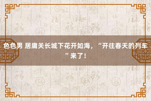 色色男 居庸关长城下花开如海，“开往春天的列车”来了！