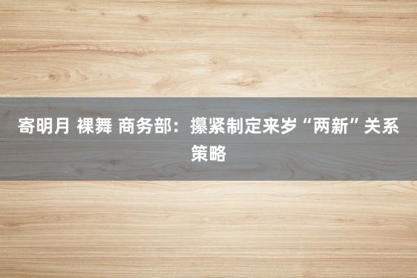 寄明月 裸舞 商务部：攥紧制定来岁“两新”关系策略