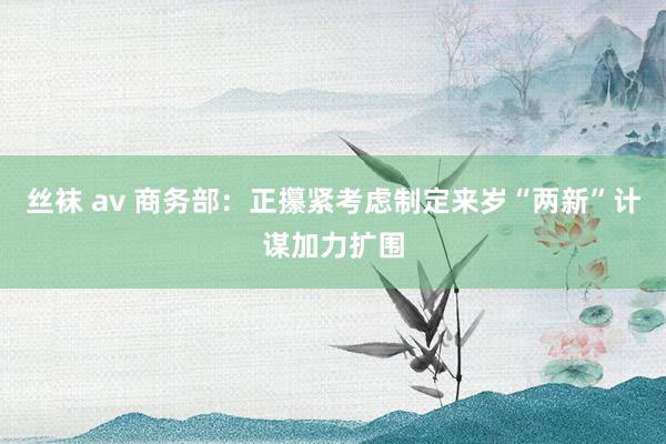 丝袜 av 商务部：正攥紧考虑制定来岁“两新”计谋加力扩围