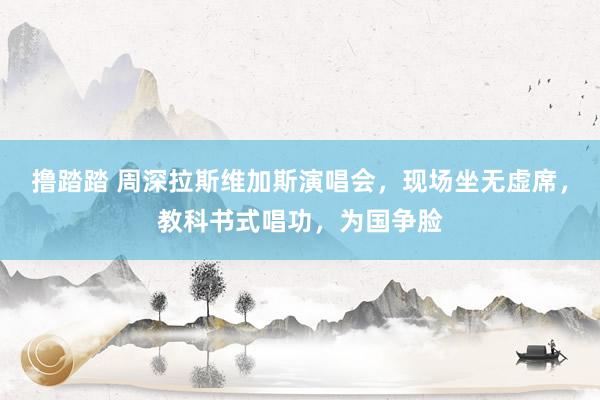 撸踏踏 周深拉斯维加斯演唱会，现场坐无虚席，教科书式唱功，为国争脸