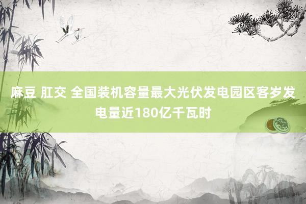 麻豆 肛交 全国装机容量最大光伏发电园区客岁发电量近180亿千瓦时