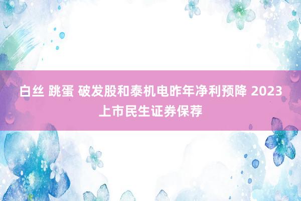 白丝 跳蛋 破发股和泰机电昨年净利预降 2023上市民生证券保荐