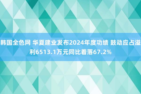韩国全色网 华夏建业发布2024年度功绩 鼓动应占溢利6513.1万元同比着落67.2%