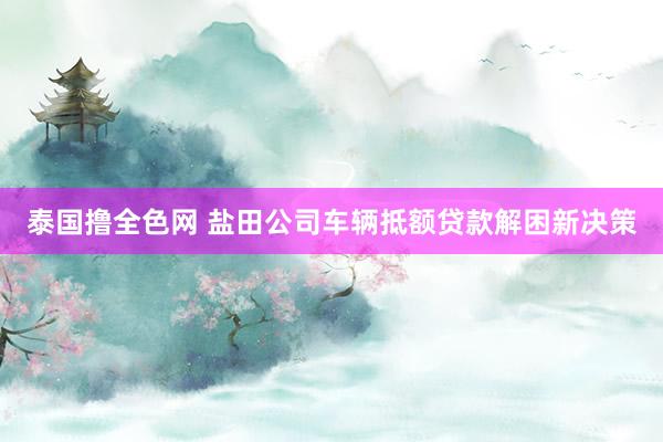 泰国撸全色网 盐田公司车辆抵额贷款解困新决策