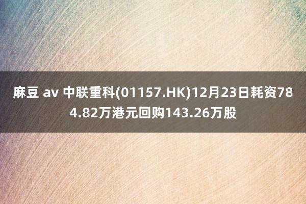 麻豆 av 中联重科(01157.HK)12月23日耗资784.82万港元回购143.26万股