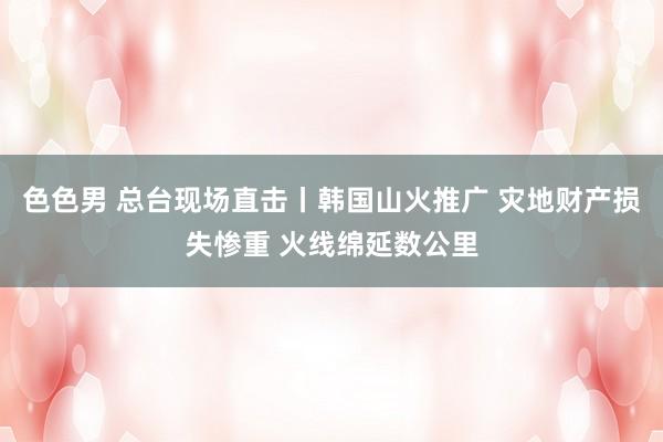 色色男 总台现场直击丨韩国山火推广 灾地财产损失惨重 火线绵延数公里