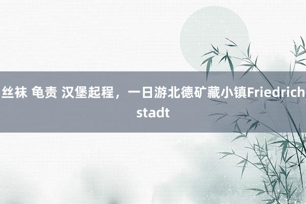 丝袜 龟责 汉堡起程，一日游北德矿藏小镇Friedrichstadt
