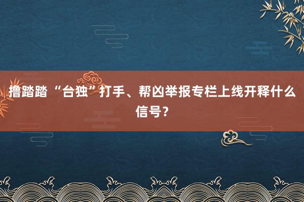 撸踏踏 “台独”打手、帮凶举报专栏上线开释什么信号？