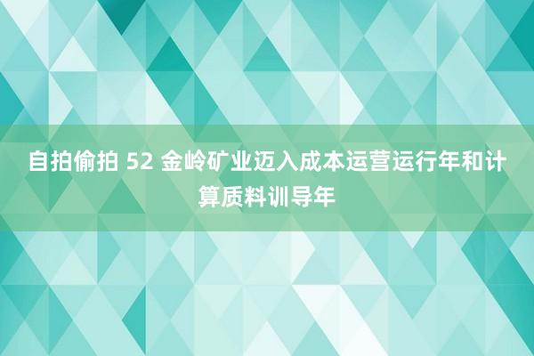 自拍偷拍 52 金岭矿业迈入成本运营运行年和计算质料训导年