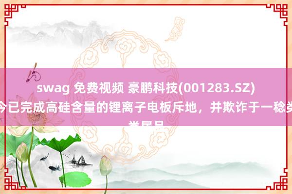 swag 免费视频 豪鹏科技(001283.SZ)：当今已完成高硅含量的锂离子电板斥地，并欺诈于一稔类居品