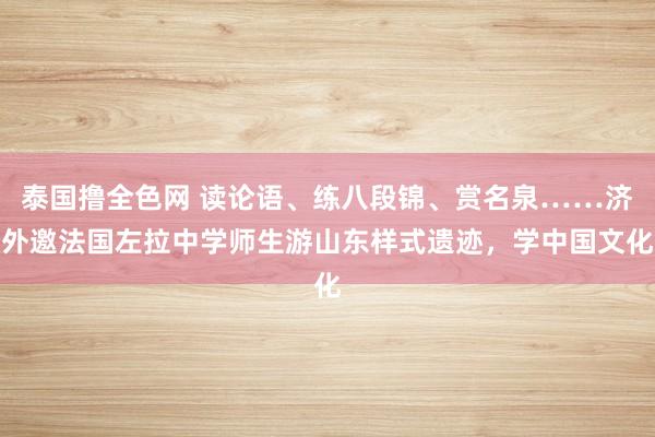 泰国撸全色网 读论语、练八段锦、赏名泉……济外邀法国左拉中学师生游山东样式遗迹，学中国文化