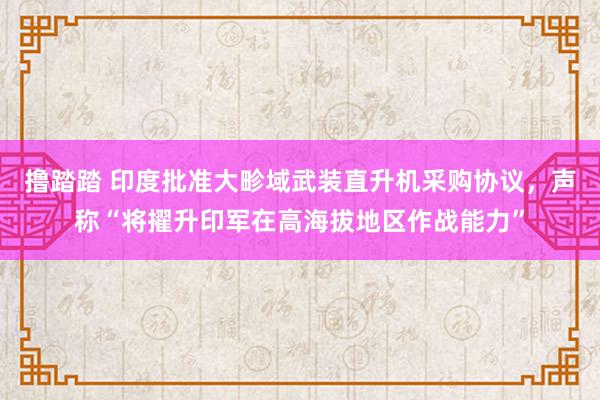 撸踏踏 印度批准大畛域武装直升机采购协议，声称“将擢升印军在高海拔地区作战能力”