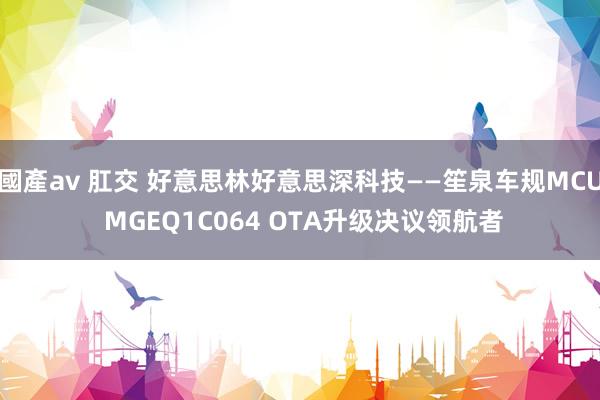 國產av 肛交 好意思林好意思深科技——笙泉车规MCU MGEQ1C064 OTA升级决议领航者