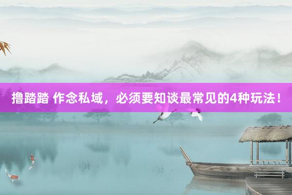 撸踏踏 作念私域，必须要知谈最常见的4种玩法！