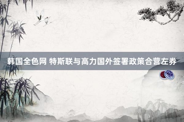 韩国全色网 特斯联与高力国外签署政策合营左券
